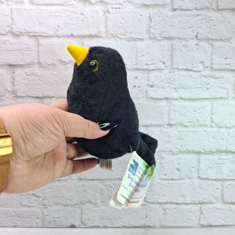 عروسک پرنده سیاه موزیکال تگ دار