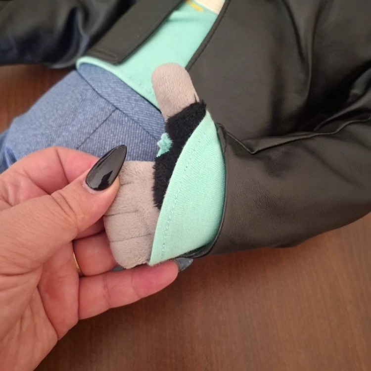 عروسک جانی انیمیشن سینگ دیزنی